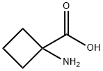 1-Asam aminocyclobutanecarboxylic