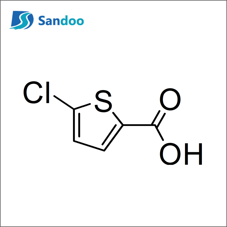 5-Chlorothiophene-2-Asam Karboksilat