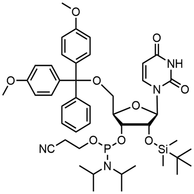 5'-O-(4,4-Dimethoxytrityl)-2'-O-[(tert-butil)dimetilsilyl]uridine-3'-(2-cyanoethyl-N,N-diisopropyl)fosforamidit