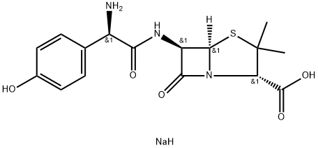 Natrium amoxicillin