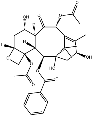 Baktin III