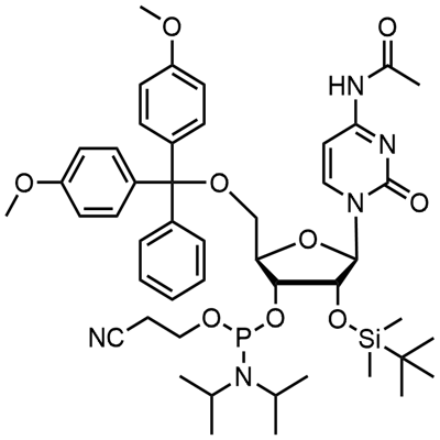 DMT-2′O-TBDMS-rC(ac) Fosforamide