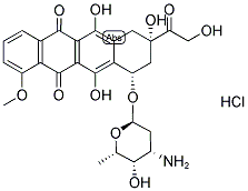 Doxorubicin hidroklorida