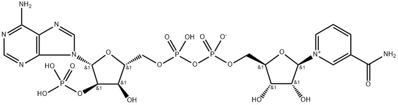 Nukleotida triphosphopyridine
